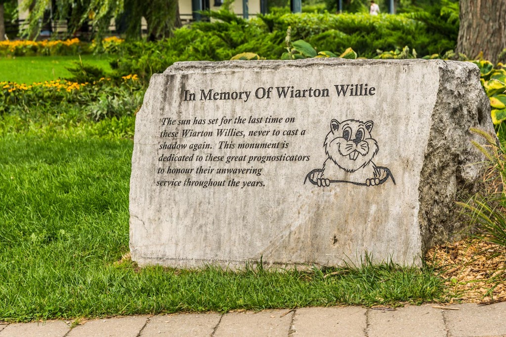 Wiarton Willie Festival | 402 William St, Wiarton, ON N0H 2T0, Canada | Phone: (519) 534-4545