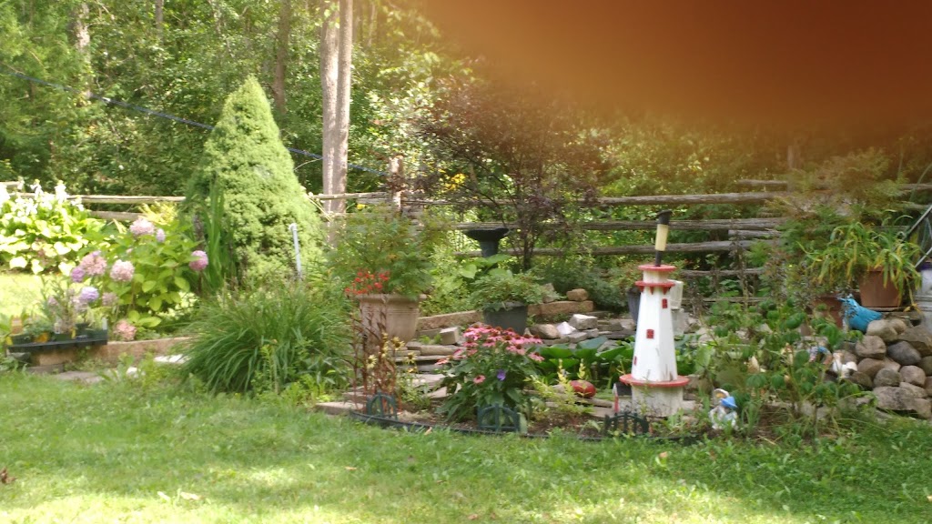 Peaceful Bliss Cottage | 3160 Bruce County Rd 15, Tiverton, ON N0G 2T0, Canada | Phone: (519) 496-2432