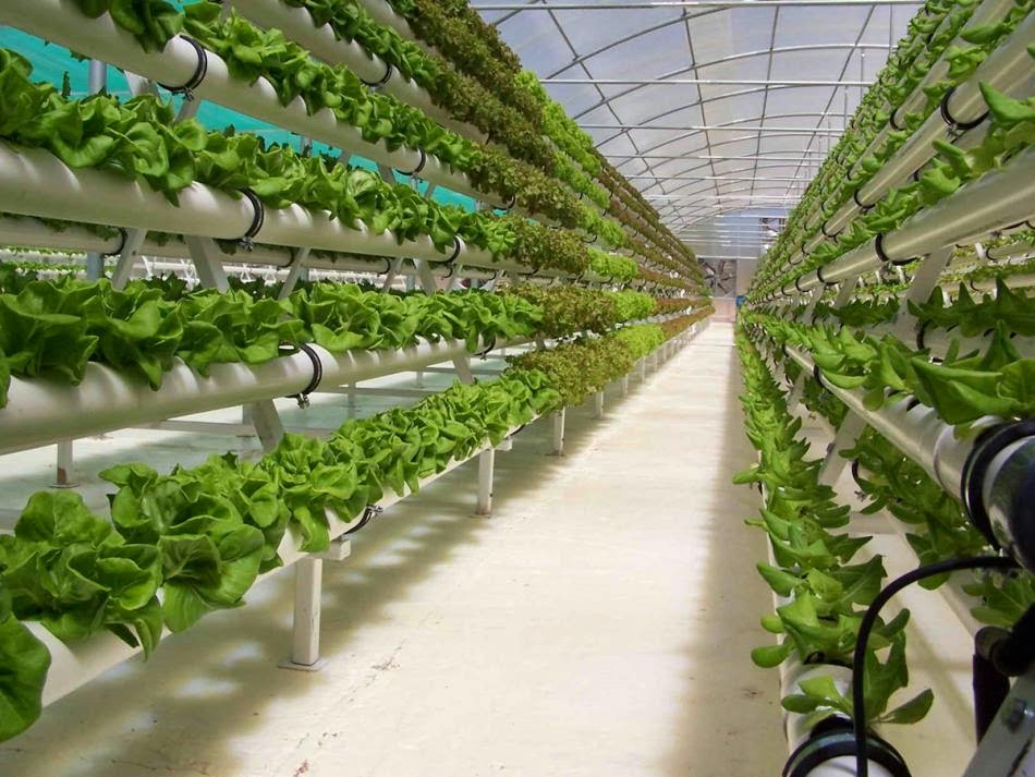 Holland Industry - Hydroponics Garden Supplies North York | 573 Fenmar Dr, North York, ON M9L 2R6, Canada | Phone: (416) 736-1732