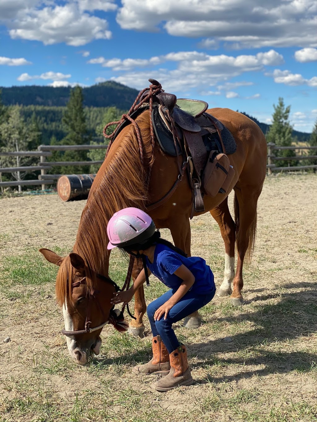 Inspire horsemanship | 9611 BC-97C, Merritt, BC V1K 1M6, Canada | Phone: (250) 574-1498