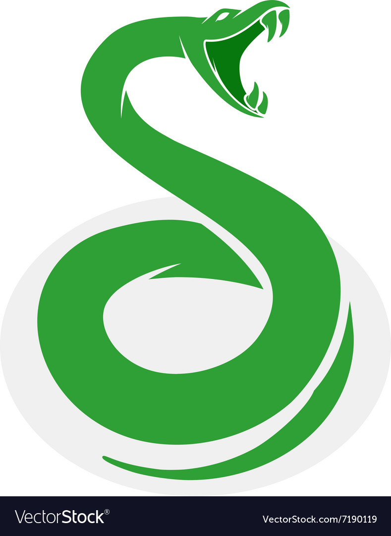 Amirs Snakes Python WebApp Development | 9471 Yonge St, Richmond Hill, ON L4C 0Z5, Canada | Phone: (416) 502-4530