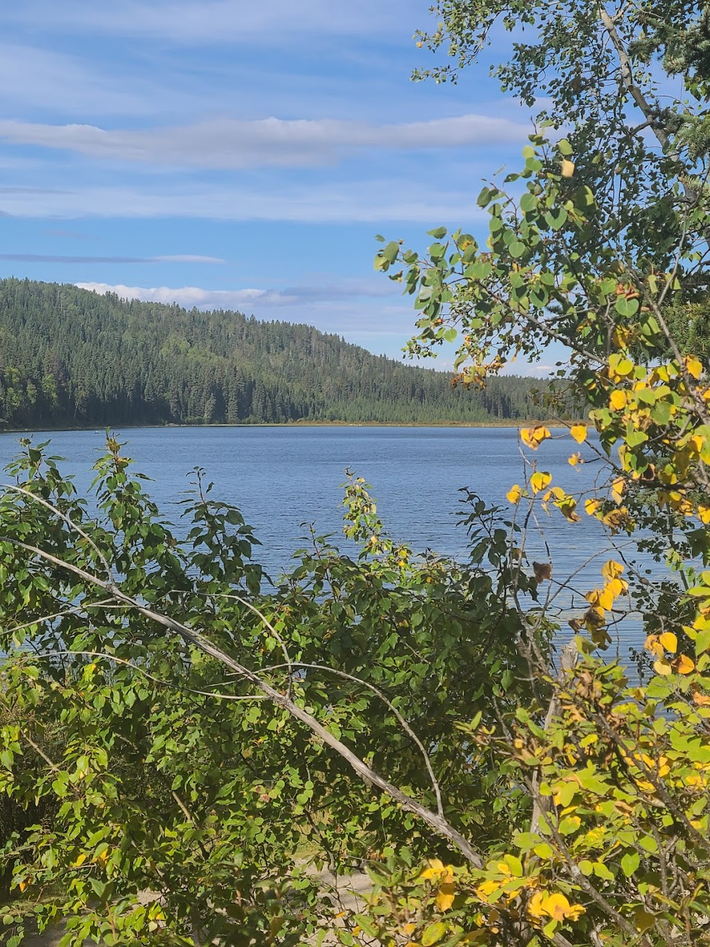 Jackfish Lake Provincial Recreation Area | Unnamed Road, Clearwater County, AB T0M 2H0, Canada | Phone: (877) 537-2757