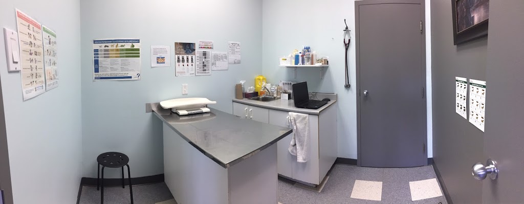 Veterinary Clinic Gauvin | 1305 Rue Rocheleau, Drummondville, QC J2C 7J9, Canada | Phone: (819) 474-7899