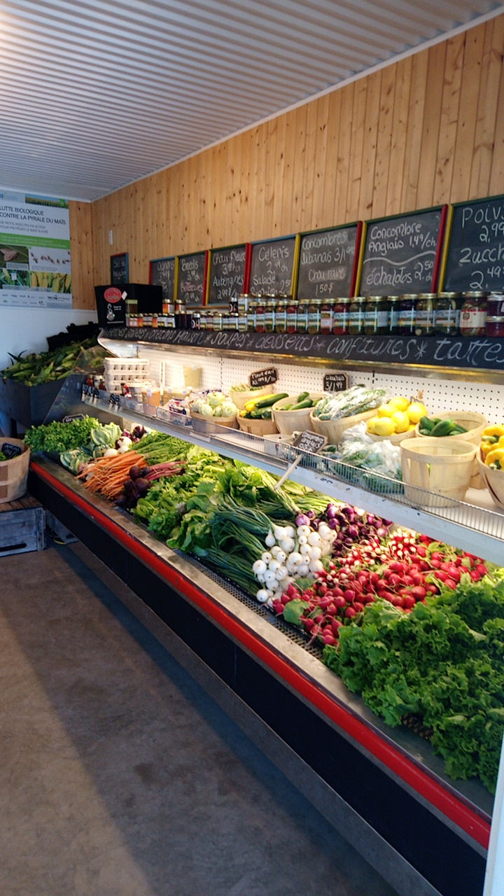 Josées Garden & Produce | 400 Chemin Saint-Roch, Lévis, QC G6C 6N4, Canada | Phone: (418) 833-5107