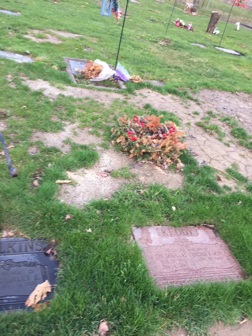 Mount Hamilton Cemetery | 260 Rymal Rd E, Hamilton, ON L9B 1C2, Canada | Phone: (905) 546-4704