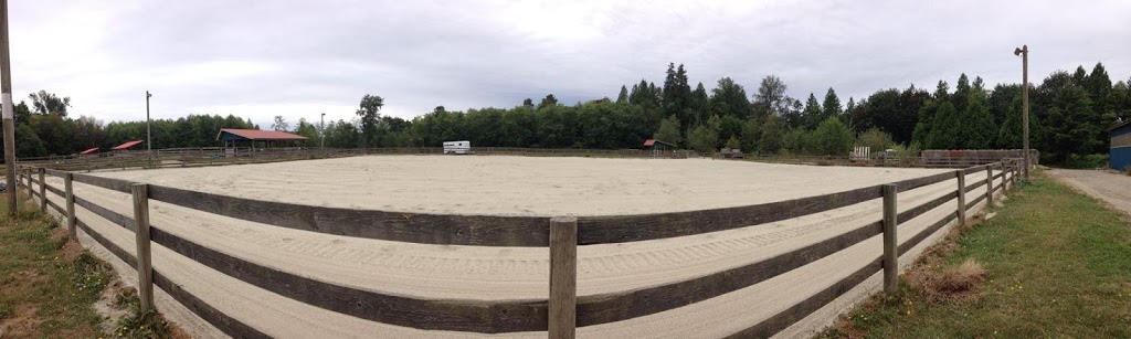 M & M Connemaras Horse Farm | 24680 80 Ave, Langley City, BC V1M 3P3, Canada | Phone: (604) 220-0908