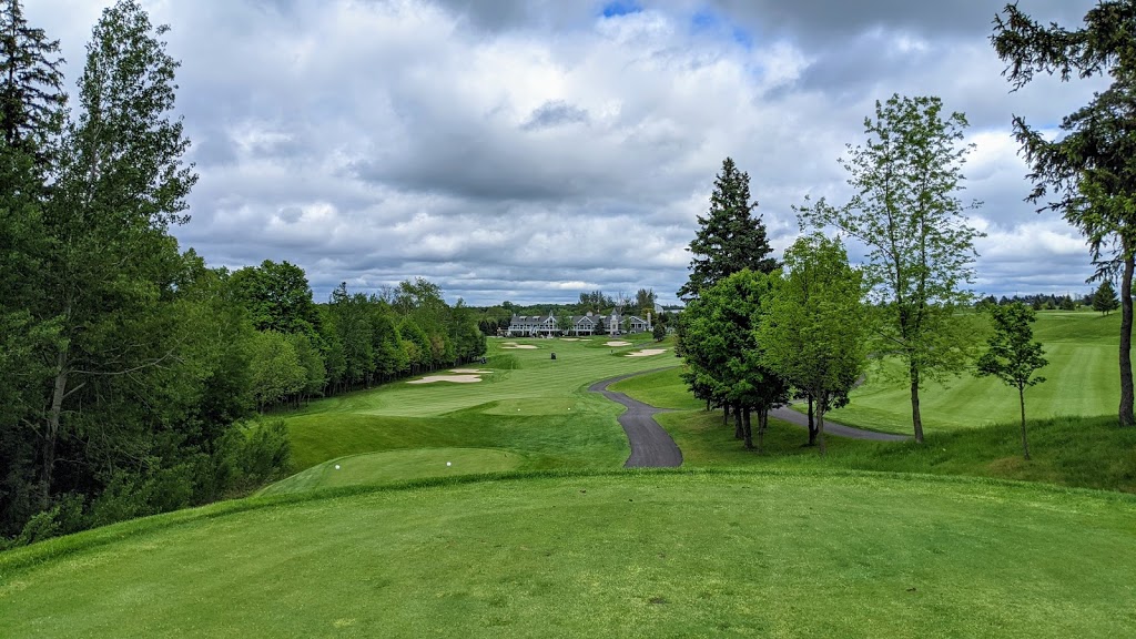 Whistle Bear Golf Club | 1316 Dickie Settlement Rd, Cambridge, ON N3H 4R8, Canada | Phone: (519) 650-2327