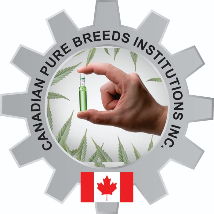 canadian pure breeds | 10 Humberline Dr #801, Etobicoke, ON M9W 6G4, Canada | Phone: (437) 247-0741