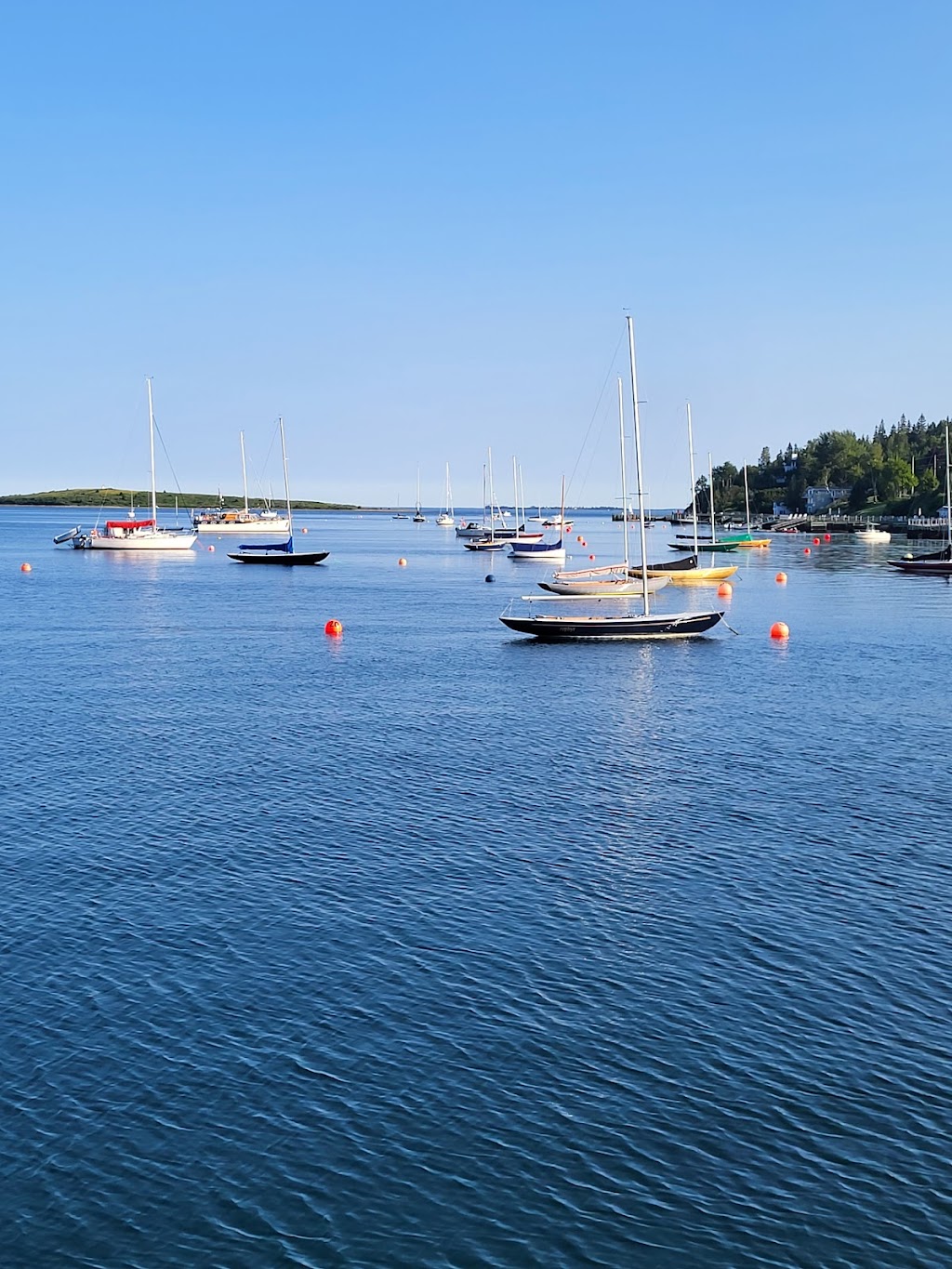 Chester yacht club | 21 South St, Chester, NS B0J 1J0, Canada | Phone: (902) 275-3747