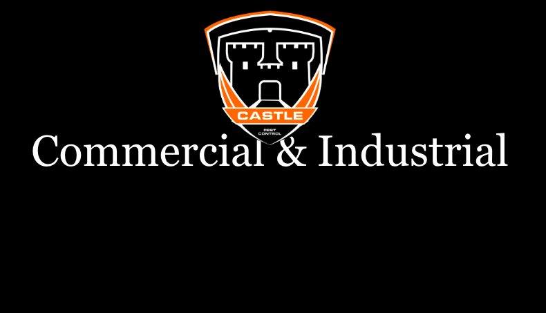 Castle Pest Control | 23-845 Dakota St Suite 294, Winnipeg, MB R2M 5M3, Canada | Phone: (431) 337-6670