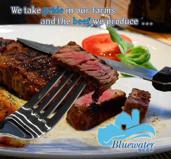 Bluewater Beef | 3472 Waterworks Road, R.R.# 1, Mooretown, ON N0N 1M0, Canada | Phone: (519) 864-4131