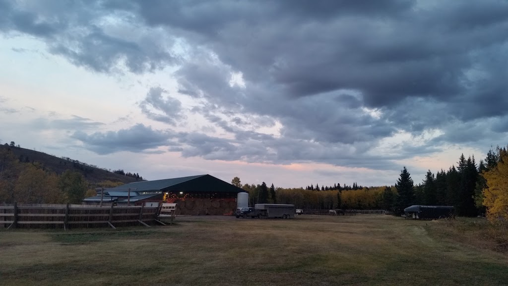 Blue Bronna Wilderness Camp | Box 65, Longview, AB T0L 1H0, Canada | Phone: (403) 803-4776