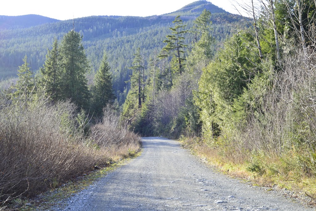 Secret Beach Campground & Kayak Launch | Toquart Bay Rd, Ucluelet, BC V0R 3A0, Canada | Phone: (778) 762-4433