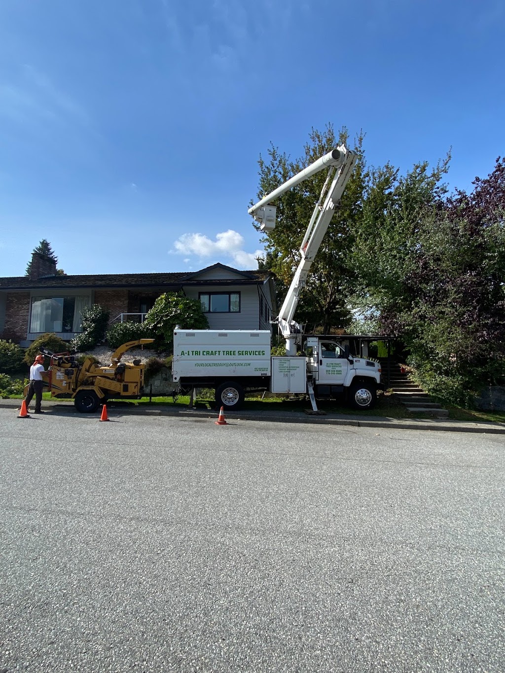 A1 tri craft tree services | 838 Whitchurch St, North Vancouver, BC V7L 2A4, Canada | Phone: (604) 396-3662