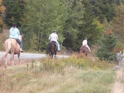 Spirit Reins Ranch | 432 Prospect Rd, Parrsboro, NS B0M 1S0, Canada | Phone: (902) 254-3138