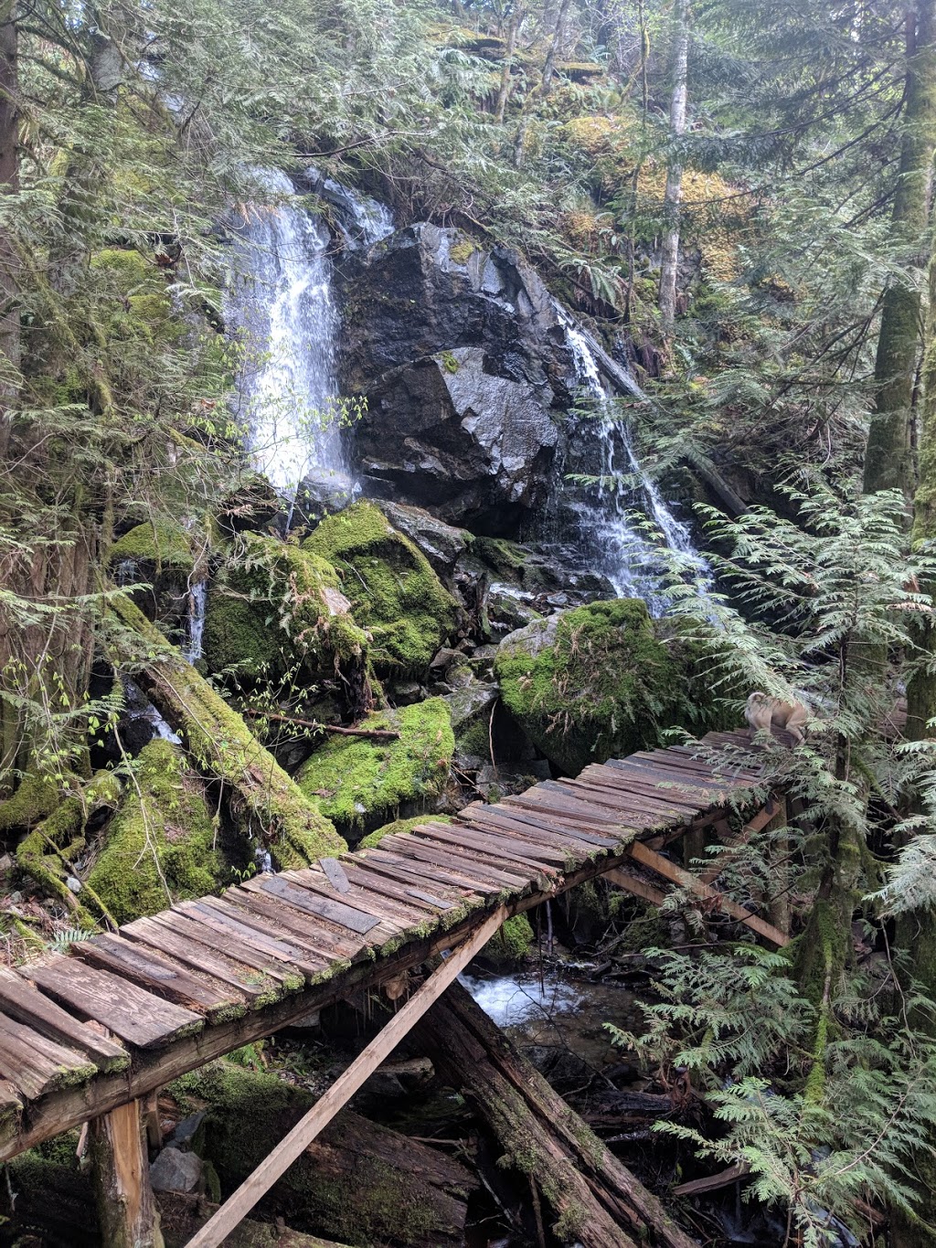 Coho Park Trail | 40460 Parkway Rd, Squamish, BC V8B 0L1, Canada