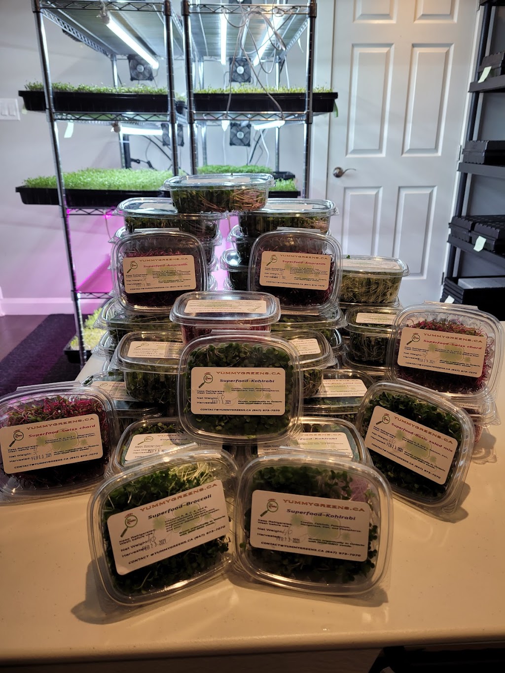 YummyGreens.CA | 1181 Laurand St, Innisfil, ON L9S 4Z7, Canada | Phone: (647) 973-7070