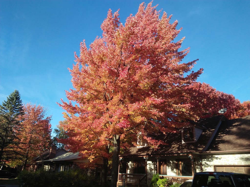 Parc des Pins | Rue de la Sapinière, Saint-Lazare, QC J7T 1Z7, Canada