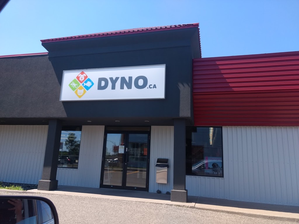 Animalerie Dyno | 79-A Rte du Président Kennedy, Lévis, QC G6V 6C8, Canada | Phone: (418) 833-2550