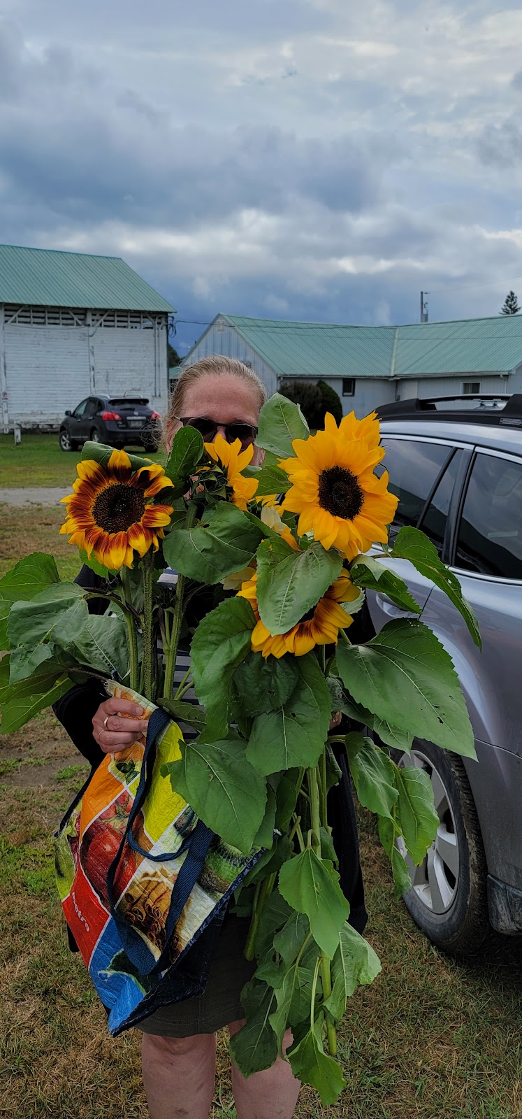 Marche Public Ayers Cliff Farmers Market | 977 Rue Main, Ayers Cliff, QC J0B, Canada | Phone: (819) 838-5006