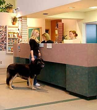 McLeod Veterinary Hospital | 880 McLeod Ave, Winnipeg, MB R2G 2T7, Canada | Phone: (204) 661-3334