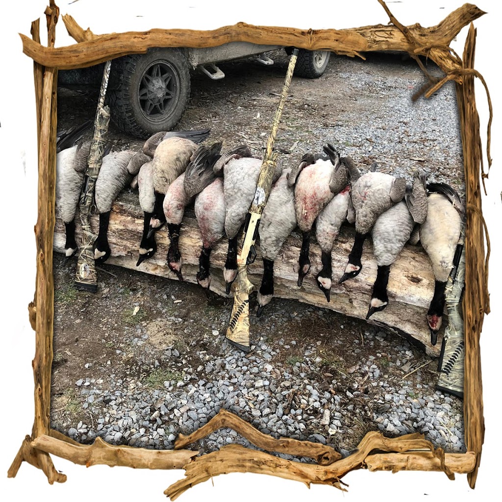 Hill’s waterfowl | Range Rd 255, Strathmore, AB T1P 0K3, Canada | Phone: (587) 727-5649