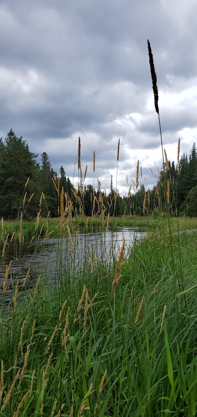 Whiteshell River Self-guiding Trail | MB-312, Whiteshell, MB R0E 2H0, Canada | Phone: (204) 369-3157