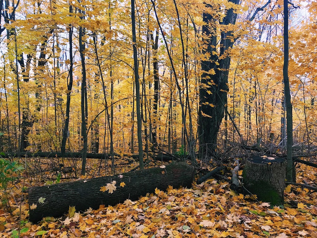 Moraine Park | 4K7, Oak Ridges Trail, Richmond Hill, ON L4E 4K7, Canada