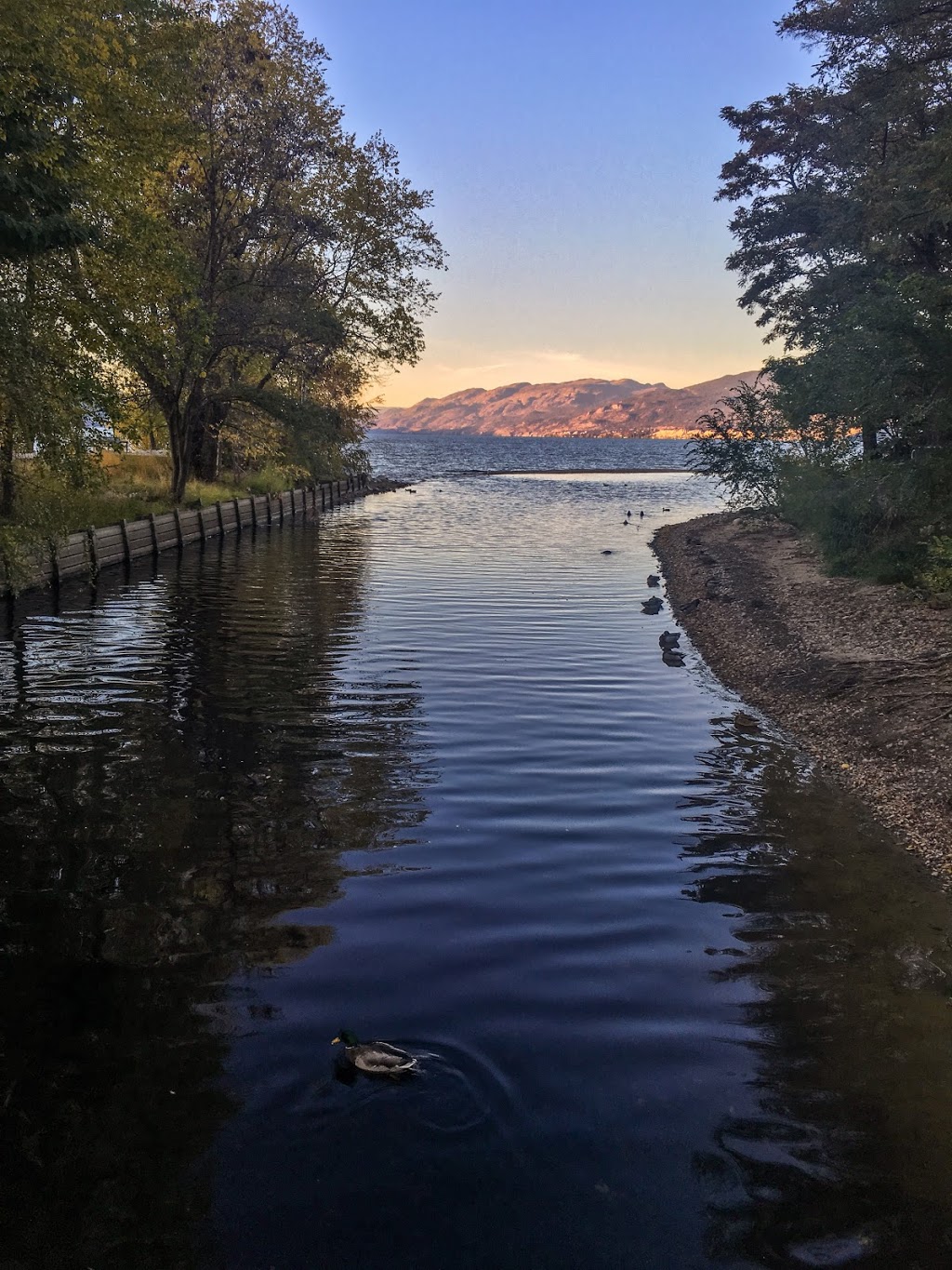 Penticton Ikeda Japanese Garden | 15 Ellis St, Penticton, BC V2A 4L4, Canada