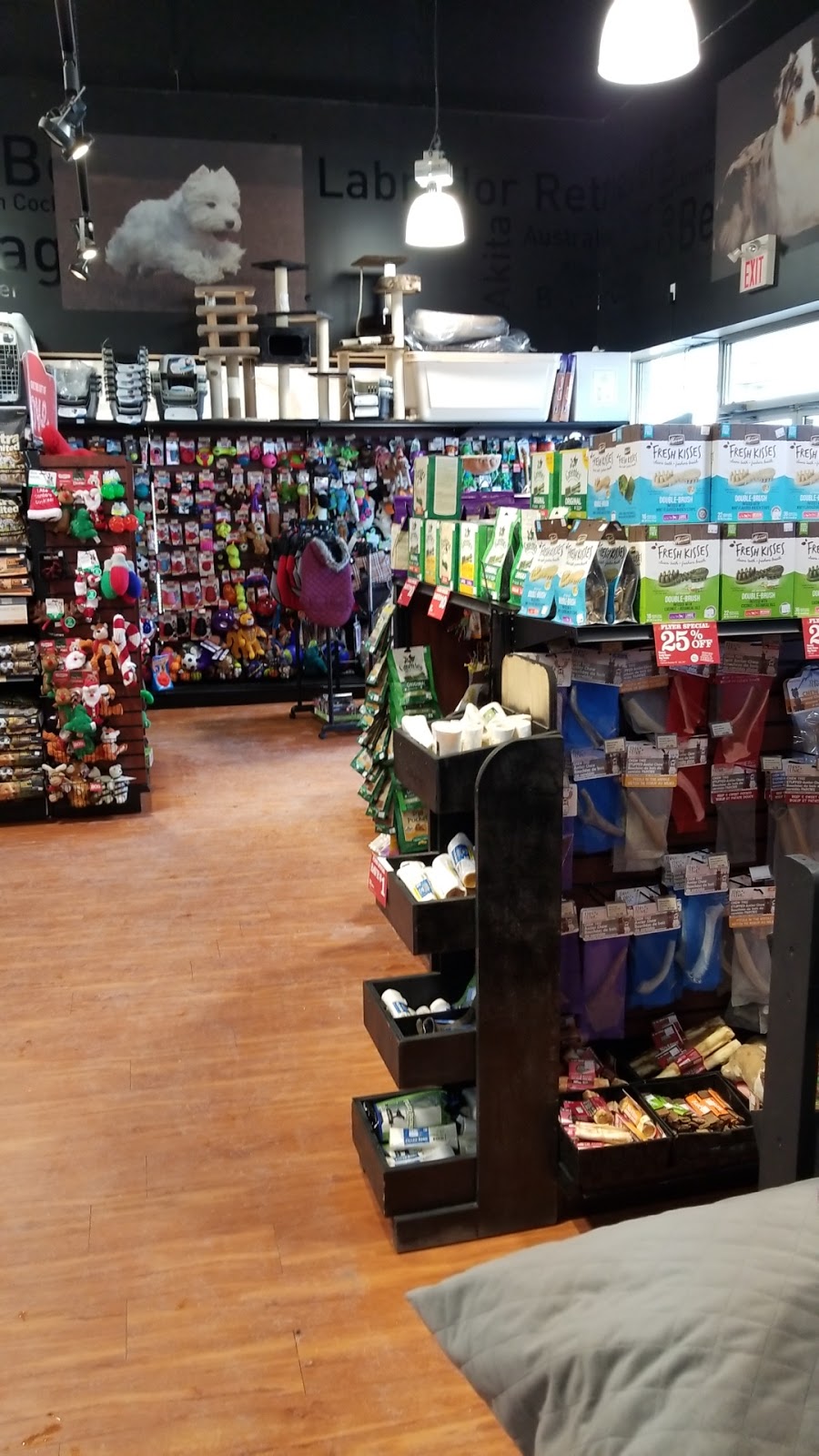 Pet Valu | 1556 Huron Church Rd, Windsor, ON N9C 3Z3, Canada | Phone: (519) 253-7389