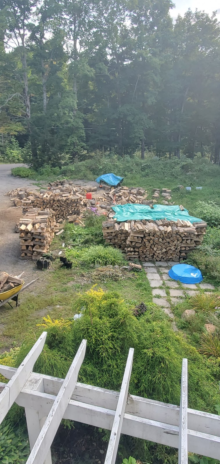 Muskoka Family Firewood | 160 White House Rd, Huntsville, ON P1H 2J3, Canada | Phone: (705) 349-0475