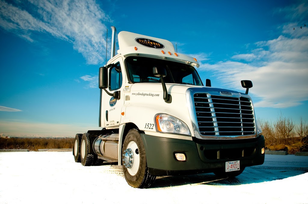 Yellow Dog Trucking Ltd | 6463 86 Ave SE, Calgary, AB T2C 2S4, Canada | Phone: (403) 516-3788