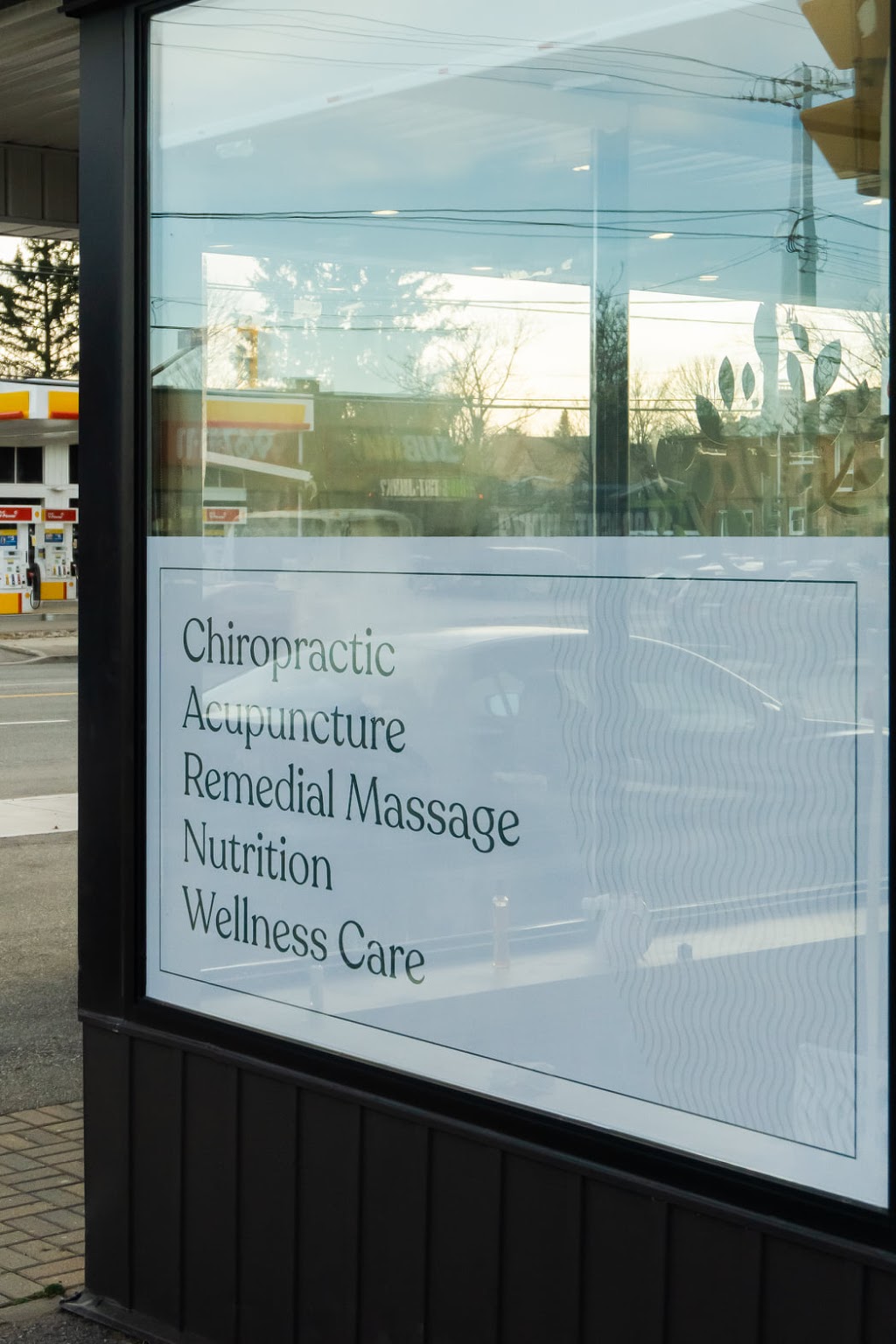 Healing Roots Chiropractic and Wellness Centre | 313 Burnhamthorpe Rd, Toronto, ON M9B 2A2, Canada | Phone: (416) 232-0002