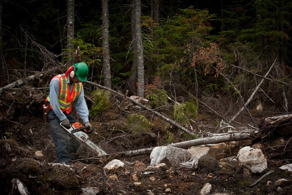 Groupement forestier Charlevoix | 16 route 138, Saint-Aimé-des-Lacs, QC G0T 1S0, Canada | Phone: (418) 439-3588