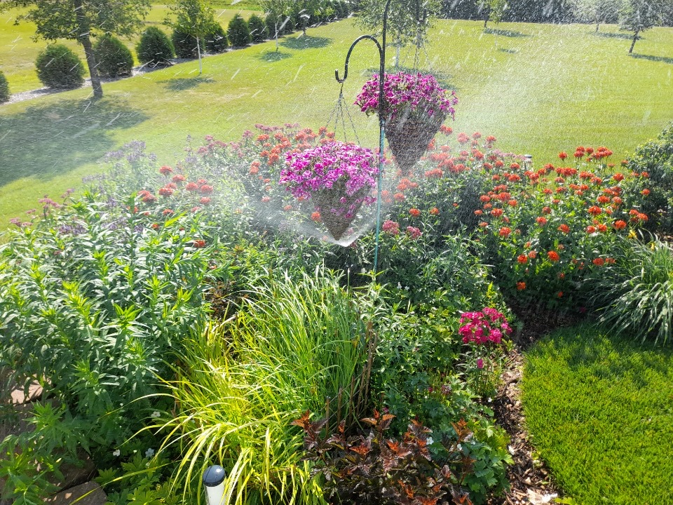 Sunshower Sprinklers | 4006 Highway #3, Oak Bluff, MB R0G 1N0, Canada | Phone: (204) 895-2331