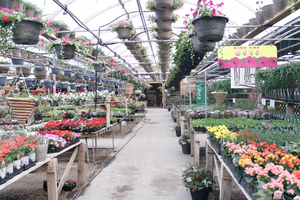 Van der meer Garden Centre | Dumaine Rd, Ile des Chênes, MB R0A 0T0, Canada | Phone: (204) 878-3420