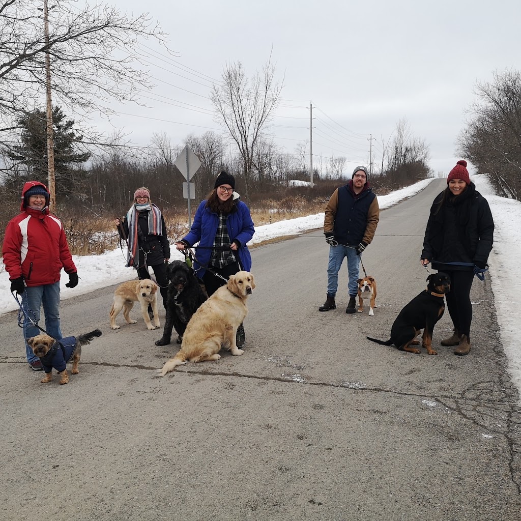 Cold Creek Dog Training Canada | 555 Rankin Crescent, Kingston, ON K7M 7K6, Canada | Phone: (613) 214-0217