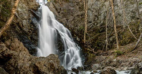 Wild Wisdom Adventure | Fawcett Ave, Sackville, NB E4L 3W9, Canada | Phone: (506) 227-5458