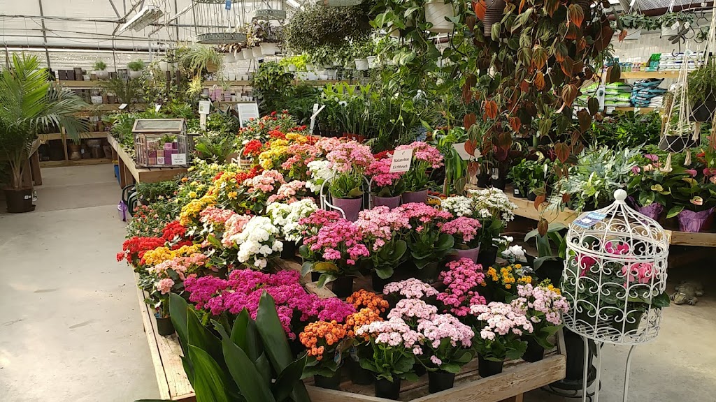 Little Mountain Garden Centre & Florist | 47558 Yale Rd, Chilliwack, BC V2P 7N1, Canada | Phone: (604) 792-4403