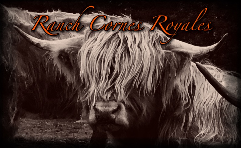 Ranch Cornes Royales | 549 QC-108, Bury, QC J0B 1J0, Canada | Phone: (819) 578-4627