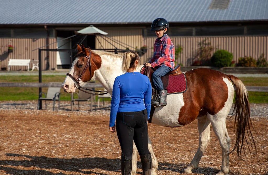 Priority 1 Equestrian | 25241 Fraser Highway Langley City, Langley Twp, BC V4W 1Z9, Canada | Phone: (604) 240-3198