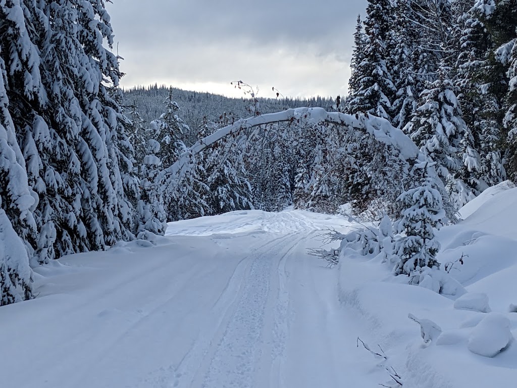 Wendego Lodge | 5000 Flynn Road, Kamloops, BC V2B 7Y7, Canada | Phone: (780) 978-5711