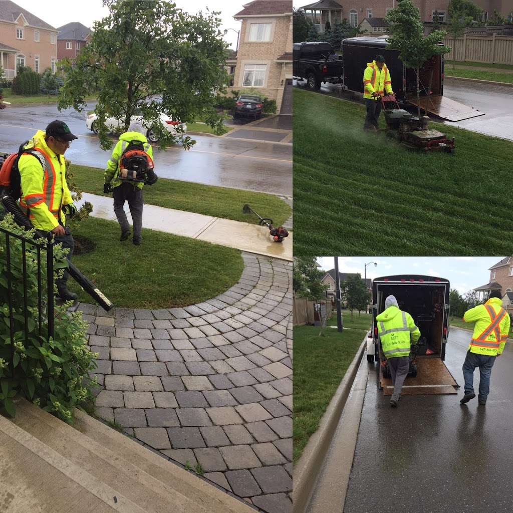 Lawn Men | 14 Israel Zilber Dr, Maple, ON L6A 0H2, Canada | Phone: (647) 866-8326