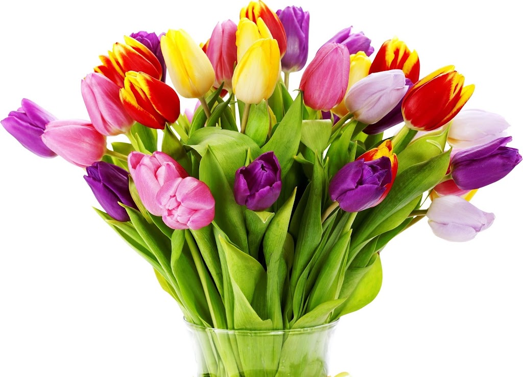 Weekly Flowers Florist & Flower Delivery | 5303 Canotek Rd, Ottawa, ON K1J 9M1, Canada | Phone: (613) 748-0000