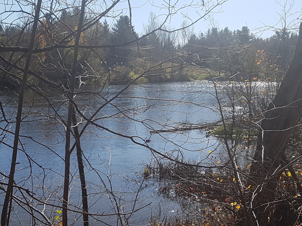 Centre Des Femmes La Paroliere | 217 Rue Belvédère N, Sherbrooke, QC J1H 5W2, Canada | Phone: (819) 569-0140