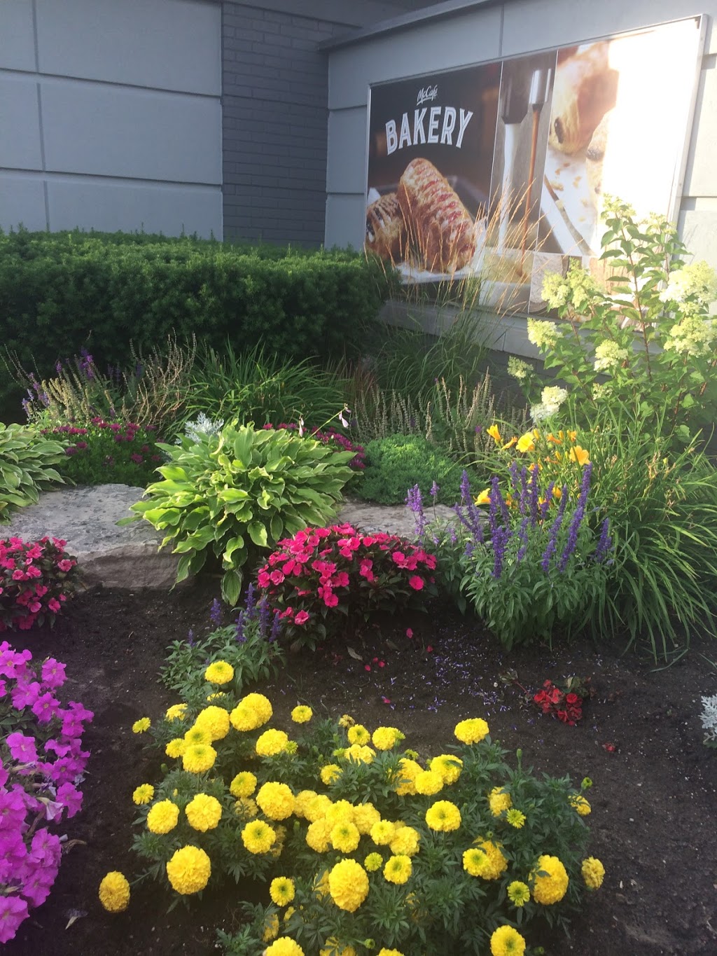 A Womans Touch Landscaping | 19 Delano Pl, Scarborough, ON M1N 1M3, Canada | Phone: (416) 427-3367