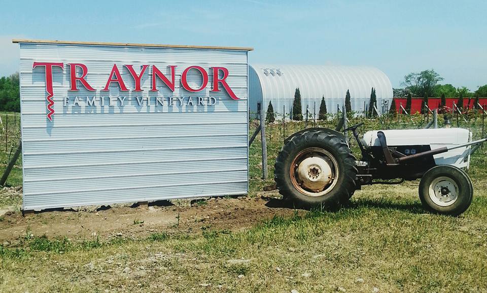 Traynor Family Vineyard | 1774 Danforth Rd, Hillier, ON K0K 2J0, Canada | Phone: (877) 403-4224