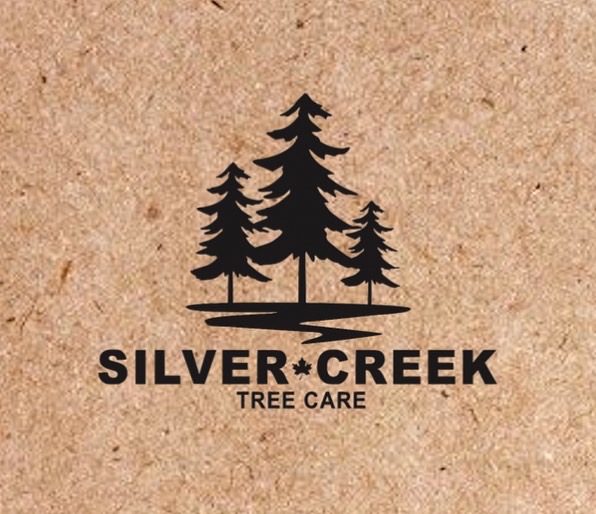 Silver Creek Tree Care | 13112 ON-7, Georgetown, ON L7G 4S4, Canada | Phone: (416) 258-1237