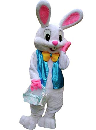 HIRE A EASTER BUNNY | 19133 73 Ave, Surrey, BC V4N 6S9, Canada | Phone: (604) 362-1001