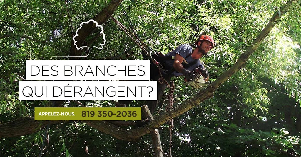 Arboriculture Carrier | 45 route 116 est, Warwick, QC J0P 1M0, Canada | Phone: (819) 350-2036